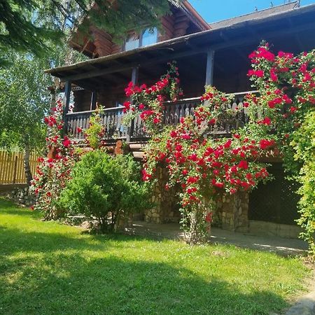 Cabana Haiducului Soveja Ngoại thất bức ảnh
